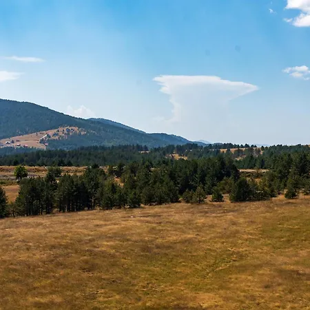 Apartment Milosavljevic Zlatibor
