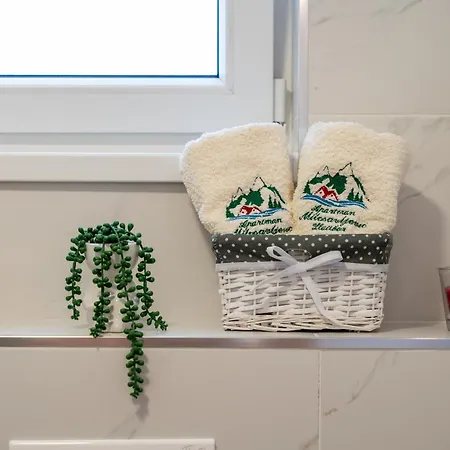 Apartment Milosavljevic *